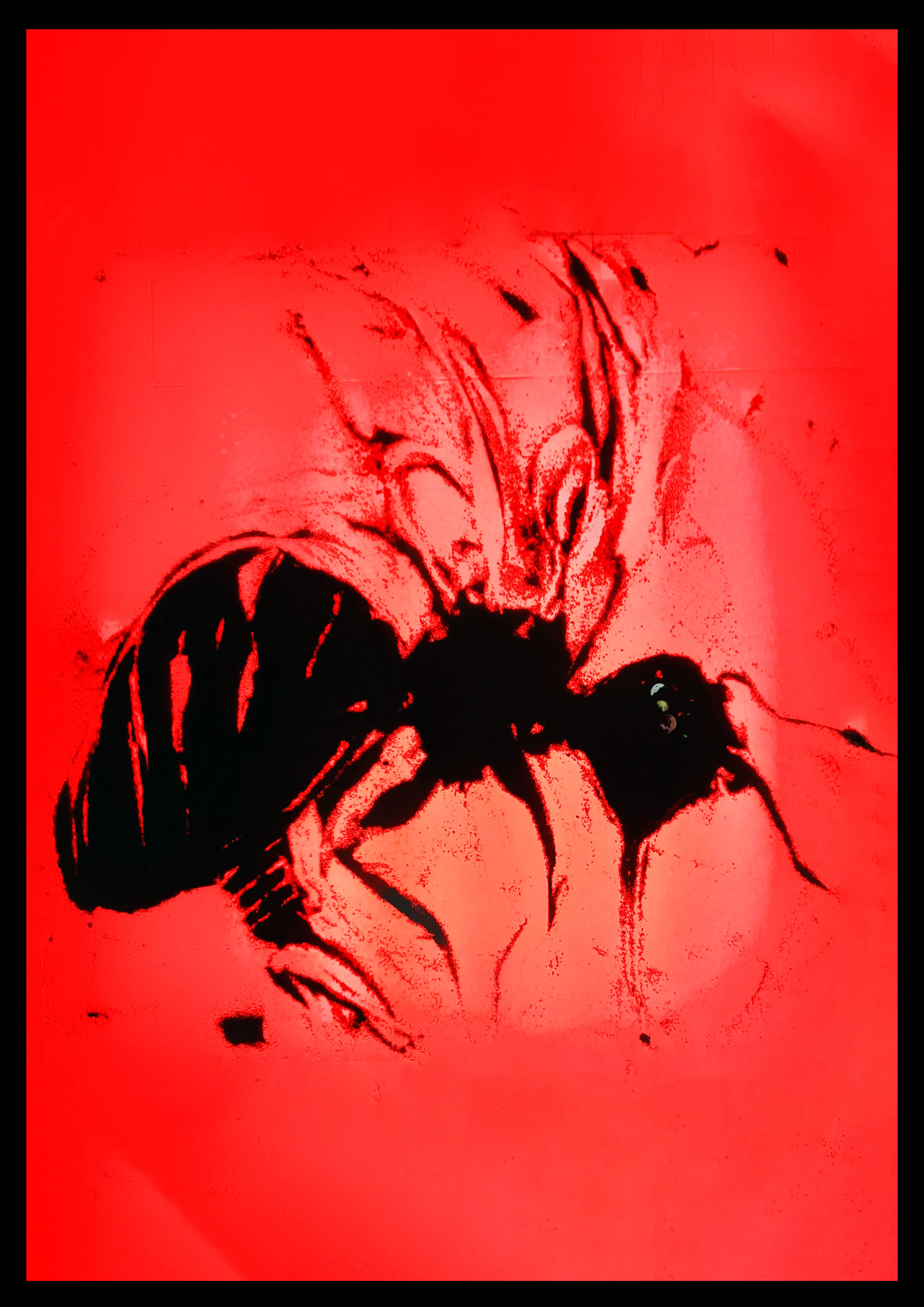 Abeja