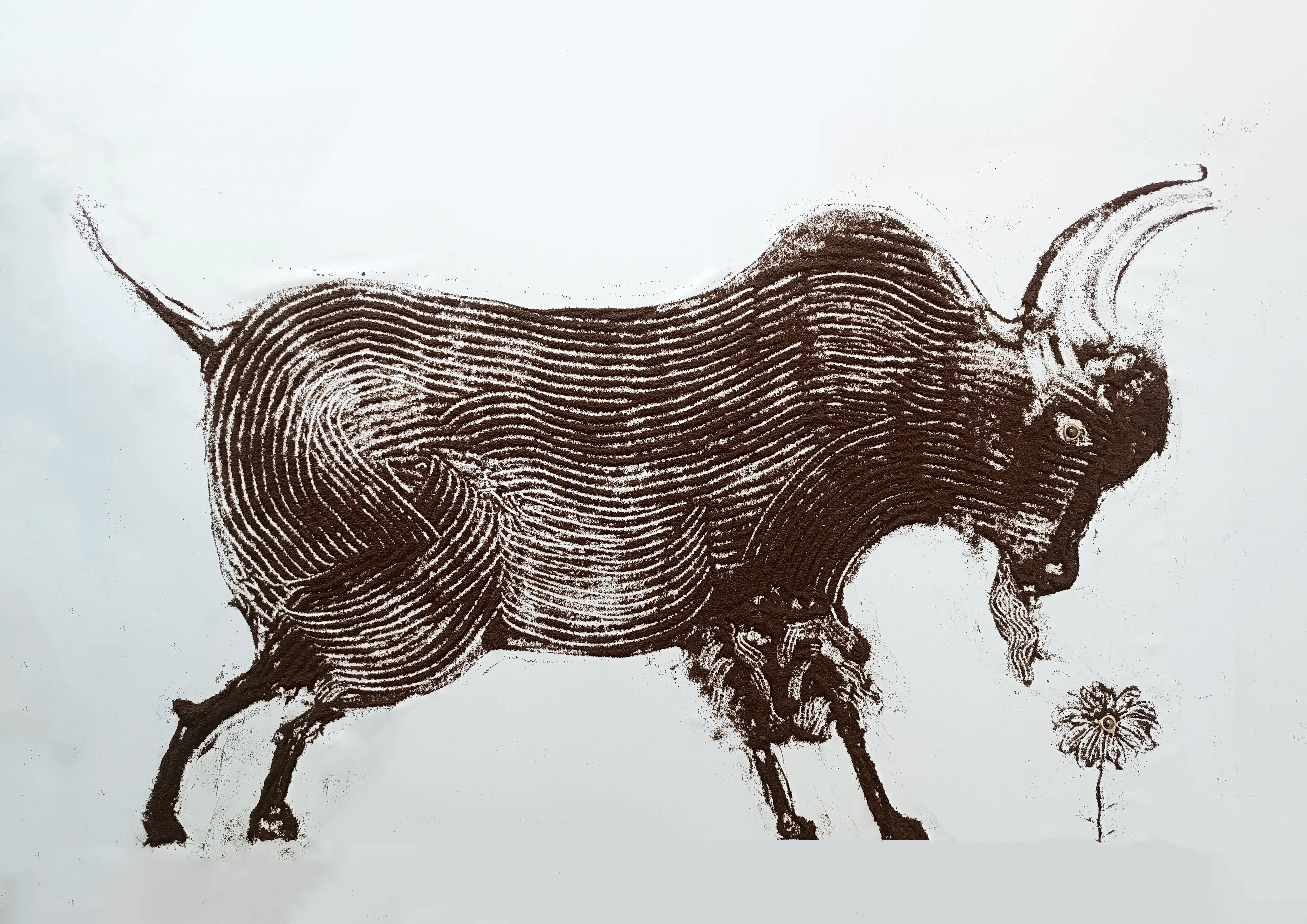 Bufalo