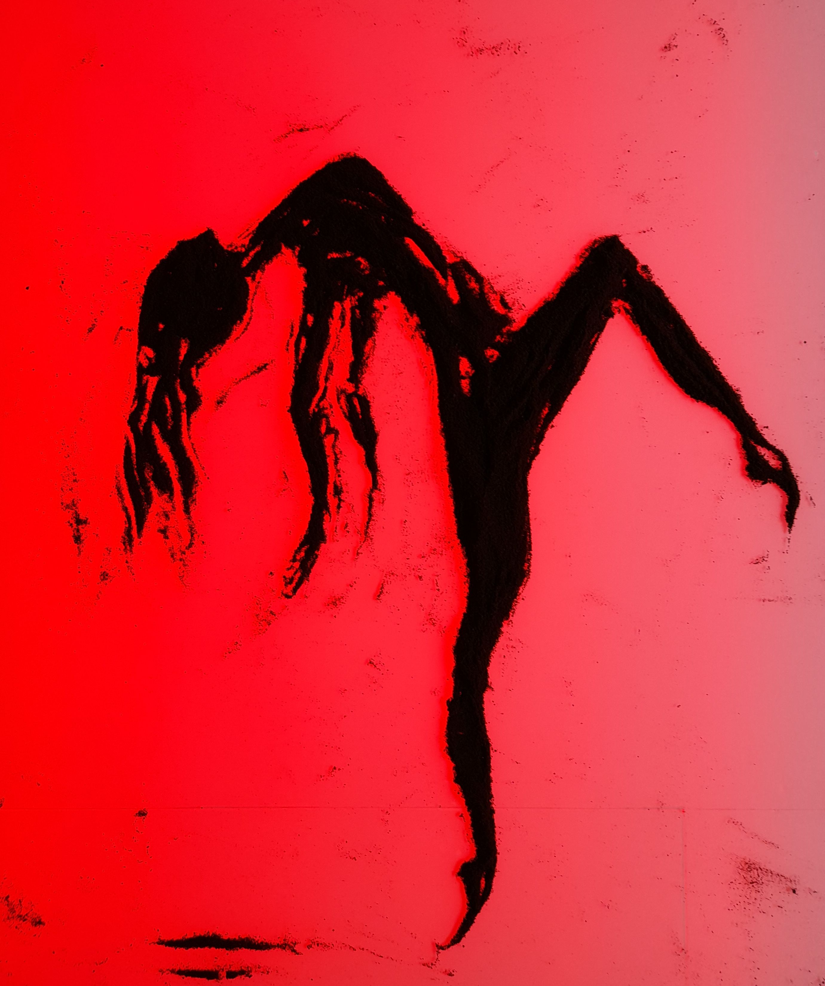 Bailarina contemporanea - 3